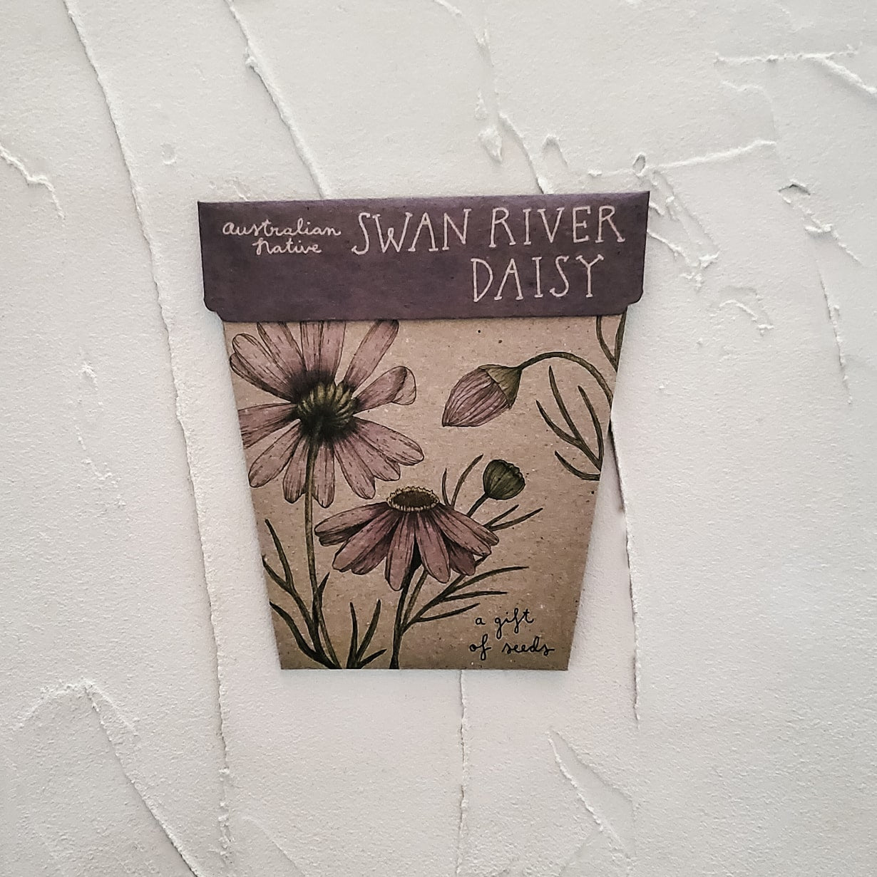 Gift of Seeds - Swan River Daisy