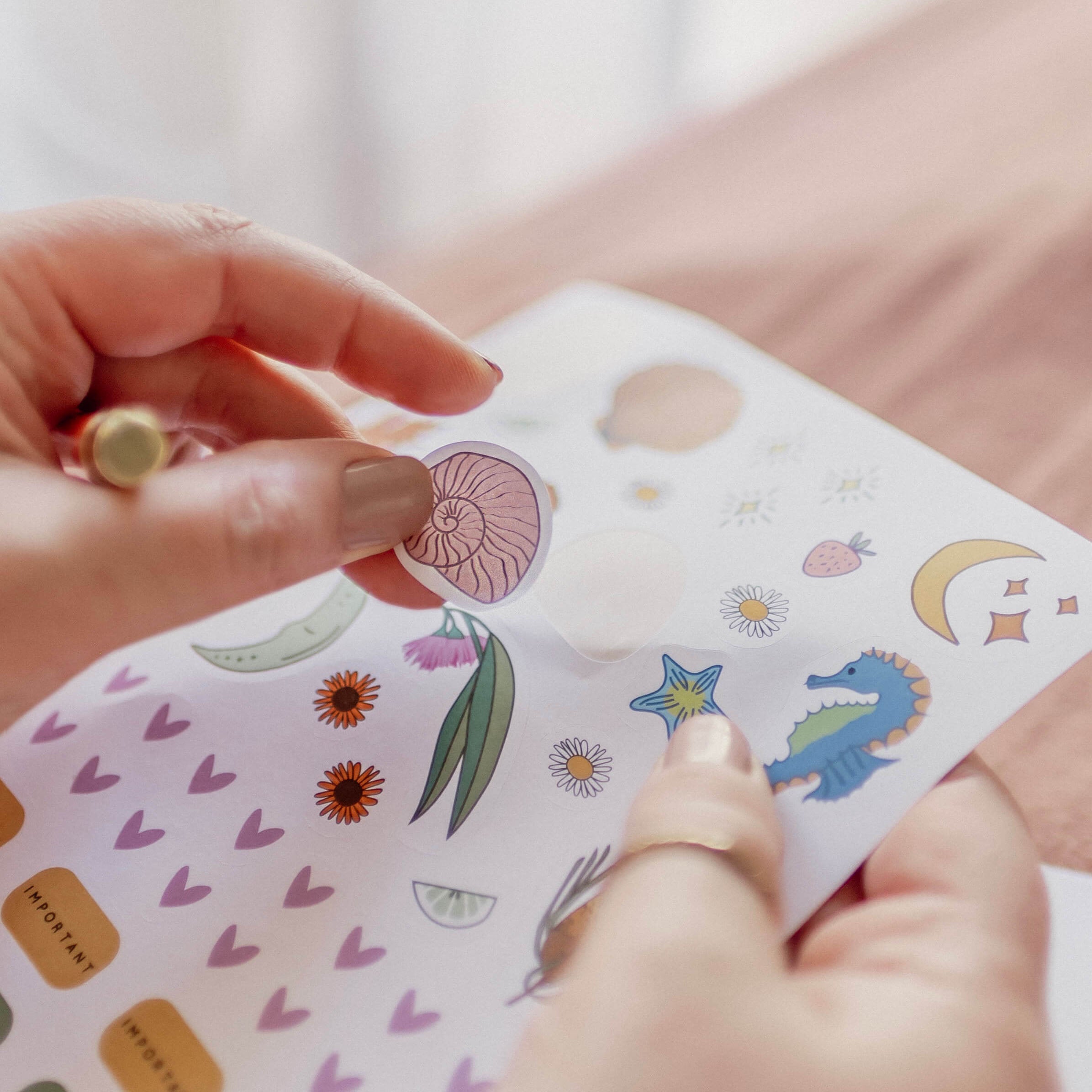 Compo Sticker Wording Compostable Sticker Sheet | Eco-Friendly, Plastic-Free Illustrated ...