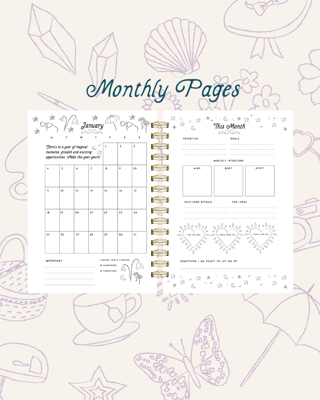 2027 Wellness Diary (PRE-ORDER)