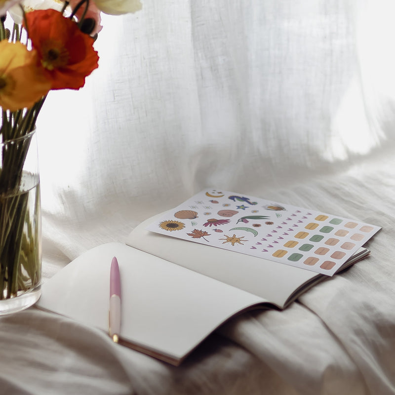 Compostable Notebooks Notes and Dreams Bundle | Eco-Friendly A5 Notebook Three Pack ...
